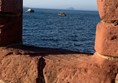One of the views out to see with the Bass Rock in the distance