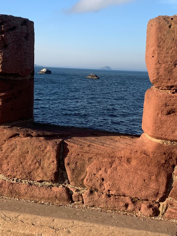 One of the views out to see with the Bass Rock in the distance