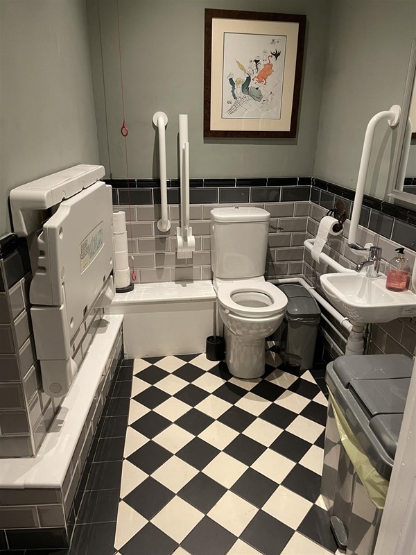 Image of an accessible toilet with grabrails