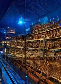 The Mary Rose 