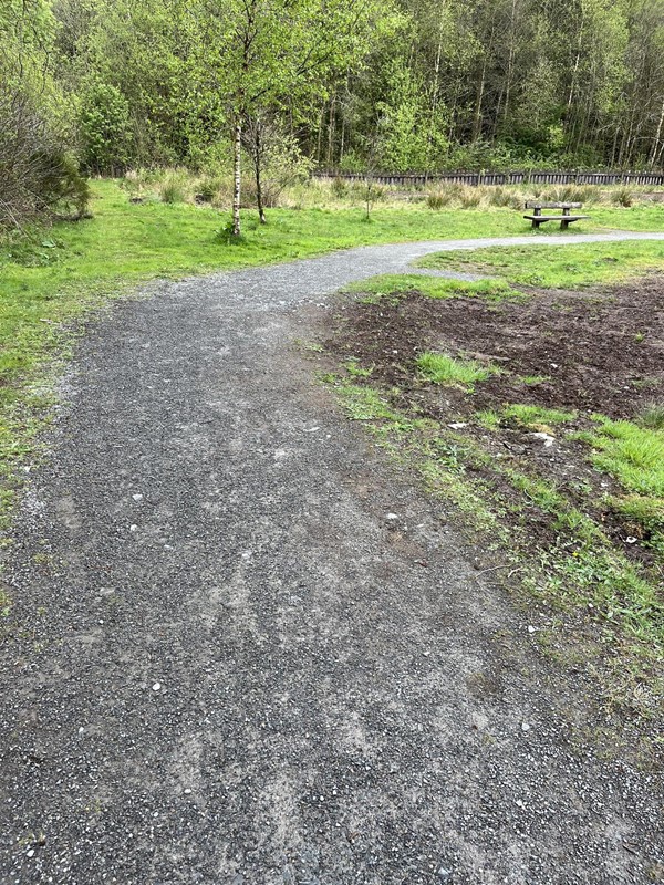 Image of a pathway