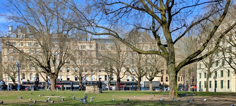 Birmingham Cathedral Gardens