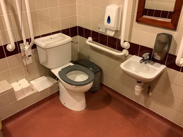 Accessible toilet