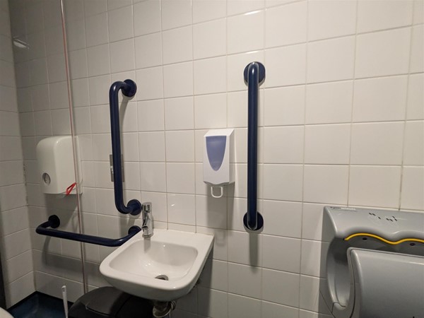 Image of sink in the accessible toilet