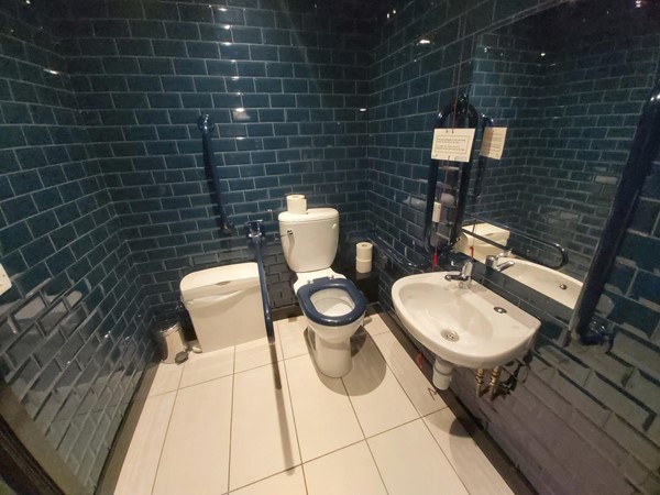 The Garden Cinema, London accessible toilet