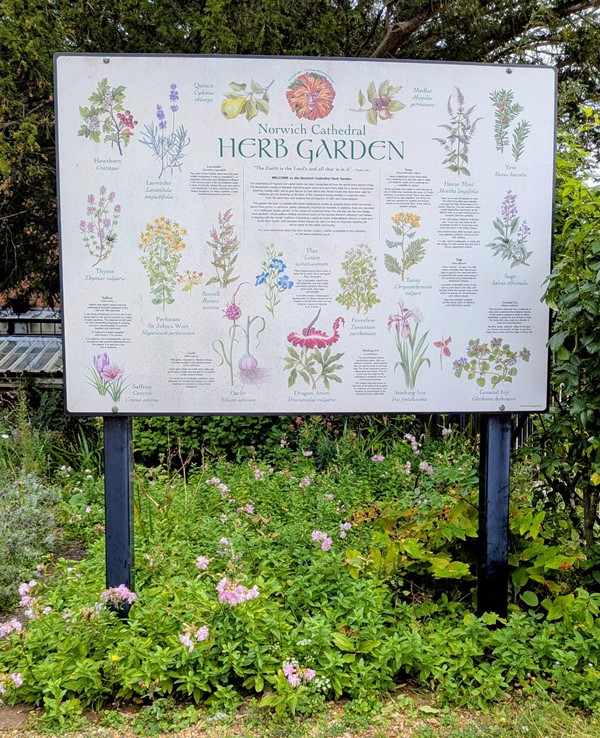 Image of the information board about the plants in the garden