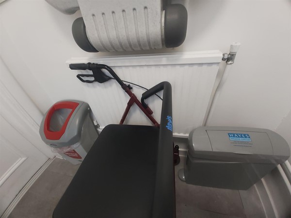 Image of bins in a toilet
