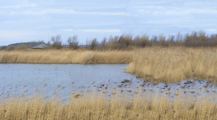 RSPB Conwy Nature Reserve