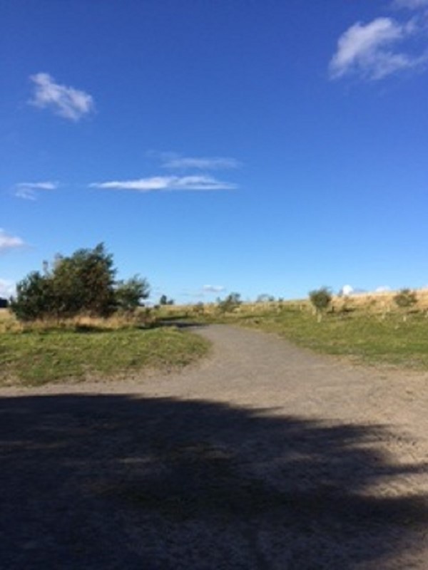 Picture of Weetslade Country Park, Wideopen