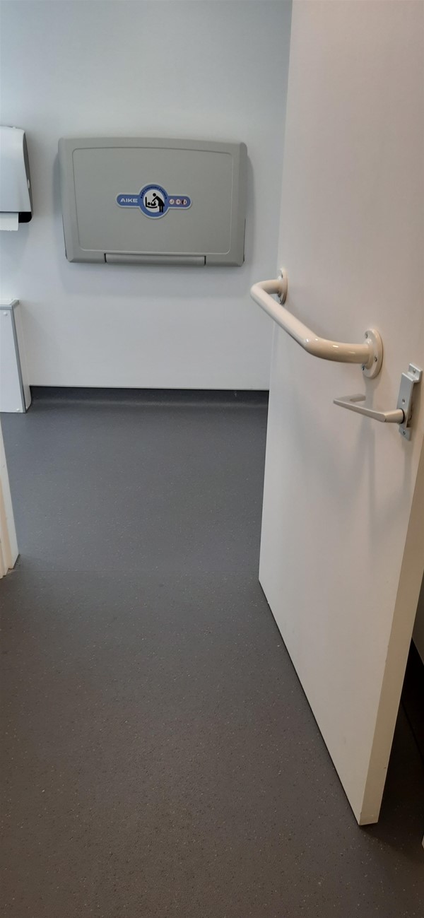 Image of an accessible toilet