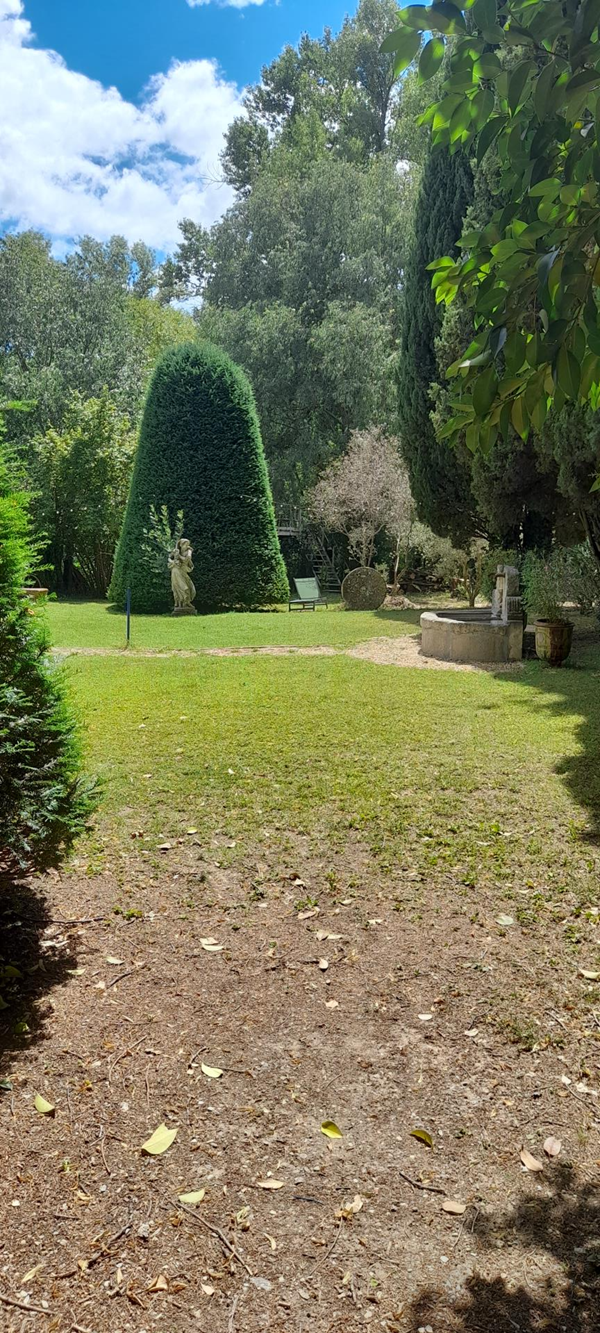 Image of a path through a park