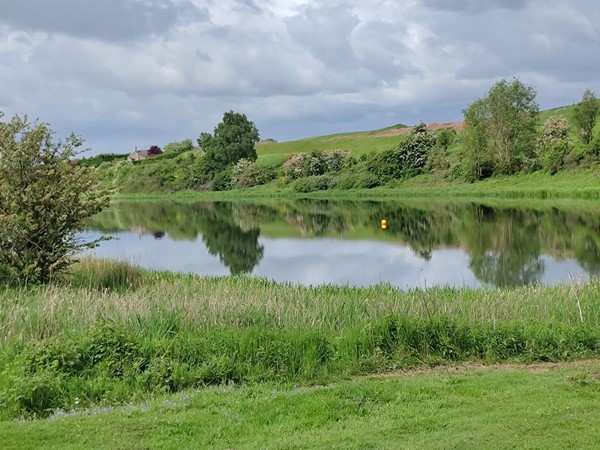Image of Forfar Loch