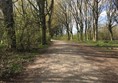 Image of part of the pathway on the walk around Forfor Loch with trees at either side.