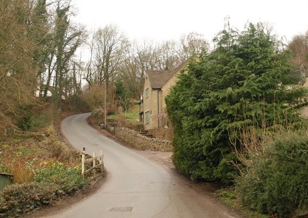 Road by a house and trees