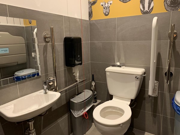 Accessible Toilet
