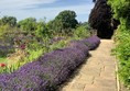 Garden path