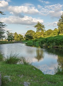 Bradgate Park Trust