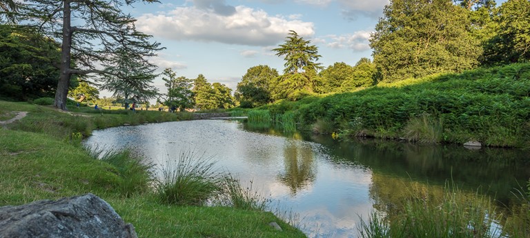 Bradgate Park Trust