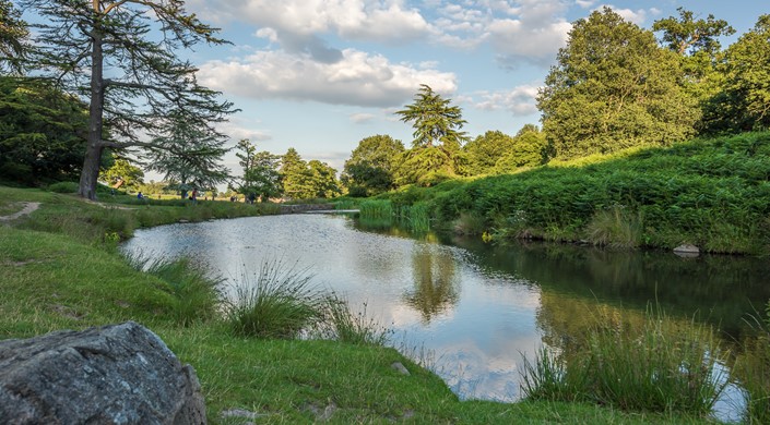 Bradgate Park Trust