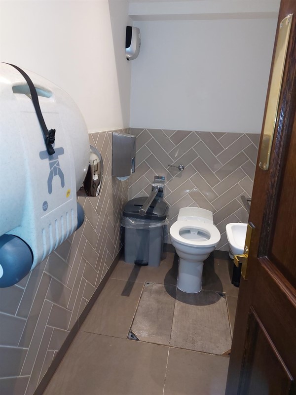Image of a toilet with grabrails