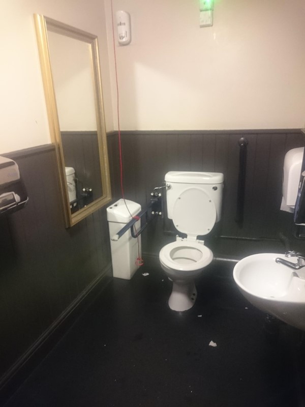 Picture of The White Hart, London -  Accessible Toilet