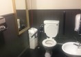 Picture of The White Hart, London -  Accessible Toilet