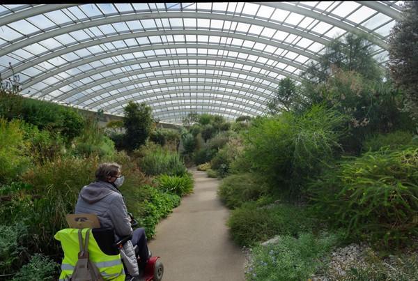 Impressive, accessible glasshouse