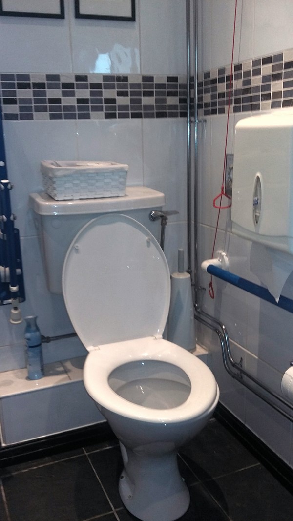 Disabled toilet. There is also a grab bar at the sink.