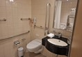 Fixed sink and hand rails for toilet use but not a transfer to toilet space