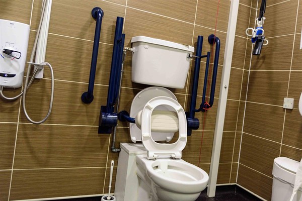 Image of a toilet with grabrails