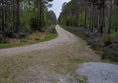 Picture of Culbin walk
