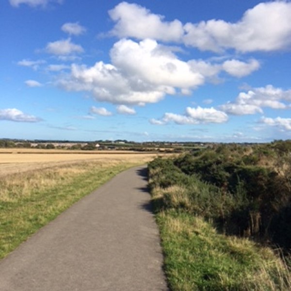 Picture of Weetslade Country Park, Wideopen
