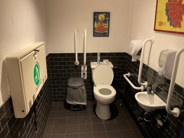 Image of inside of accessible toilet