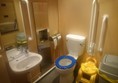 Picture of the Green Room - Accessible Toilet