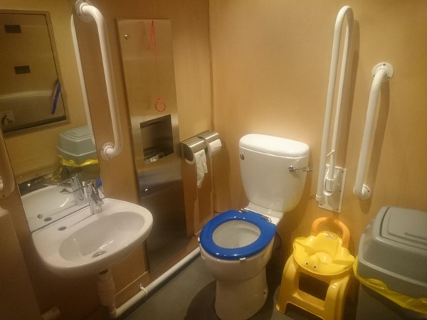 Picture of the Green Room - Accessible Toilet