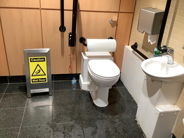 Toilet with grab rails and pull cords