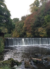 River Almond Walkway