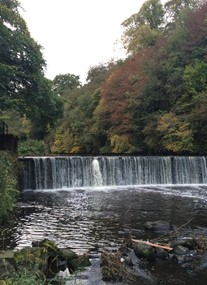 River Almond Walkway