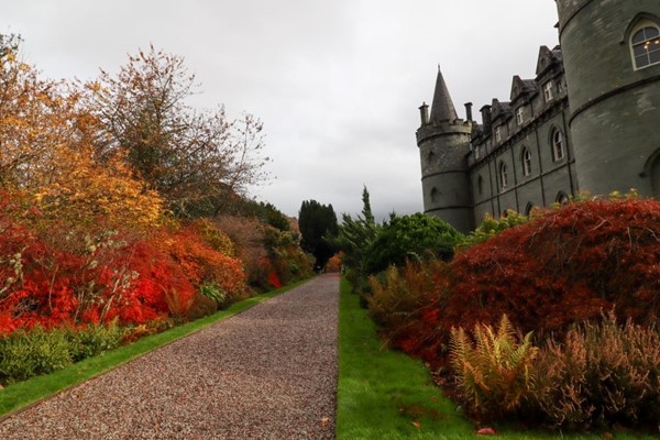 Gravel path down the side of the castle with autumnal trees down the left side of the path.