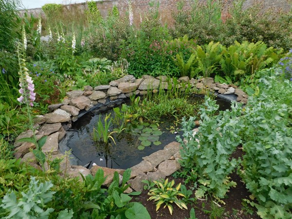In the walled Garden