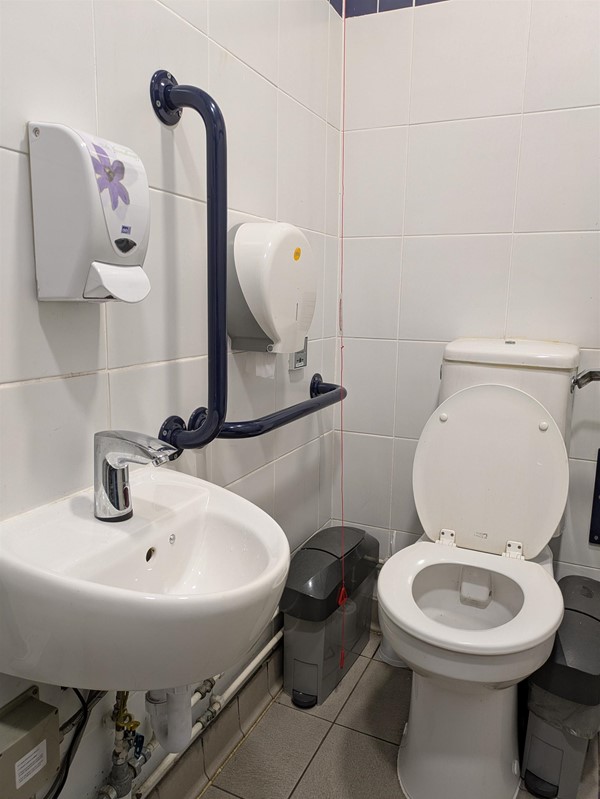 Image of sink and toilet in accessible toilet