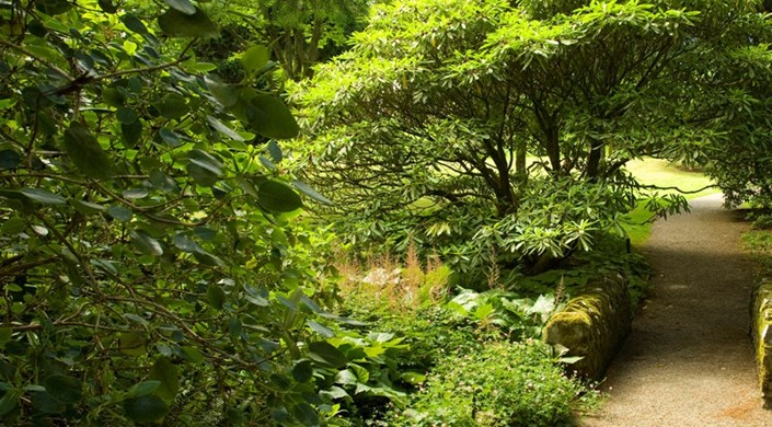 Disabled Access Day at Dawyck Botanic Garden