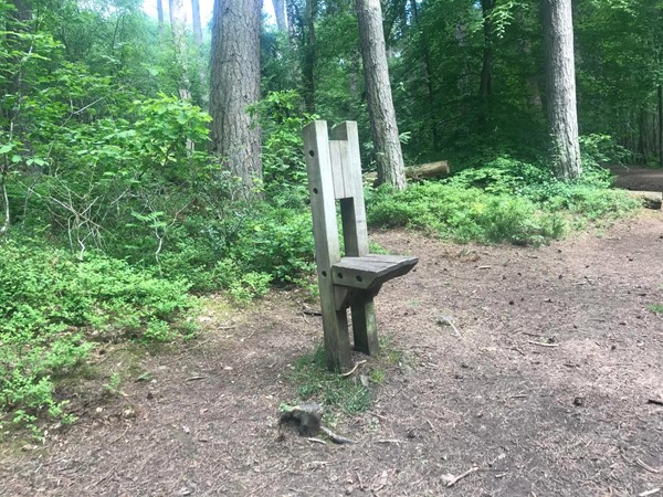 Image of one of the little wooden seats dotted around the pathway.
