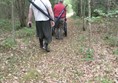 People going through the woods