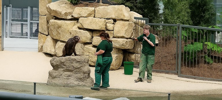 Dublin Zoo