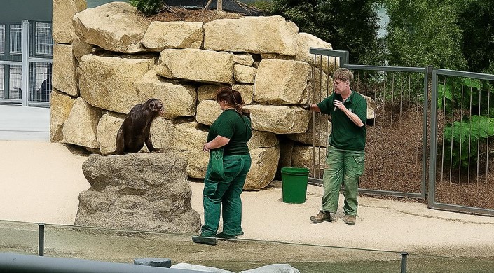 Dublin Zoo