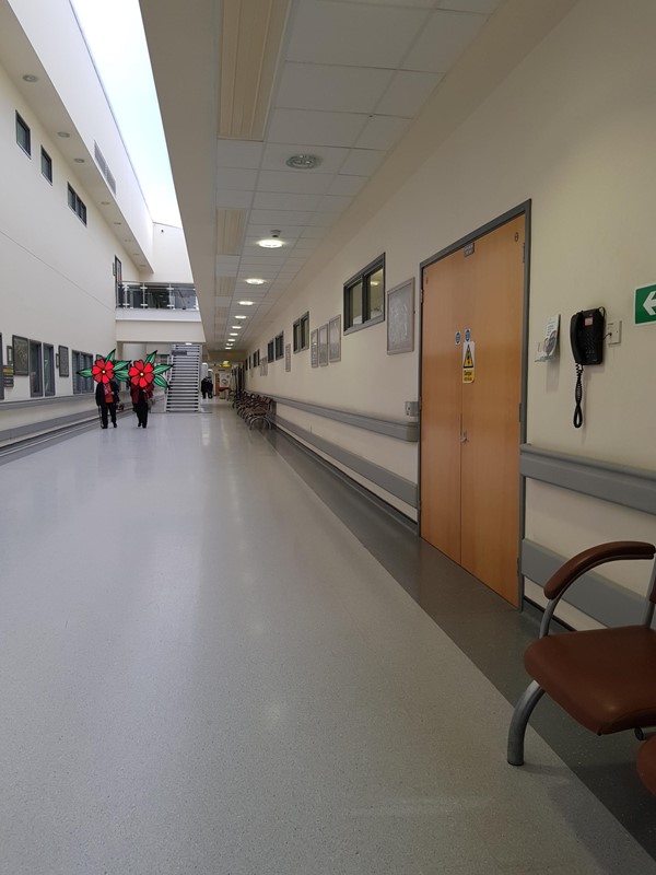 Picture of Royal Derby Hospital : Kings Treatment Centre