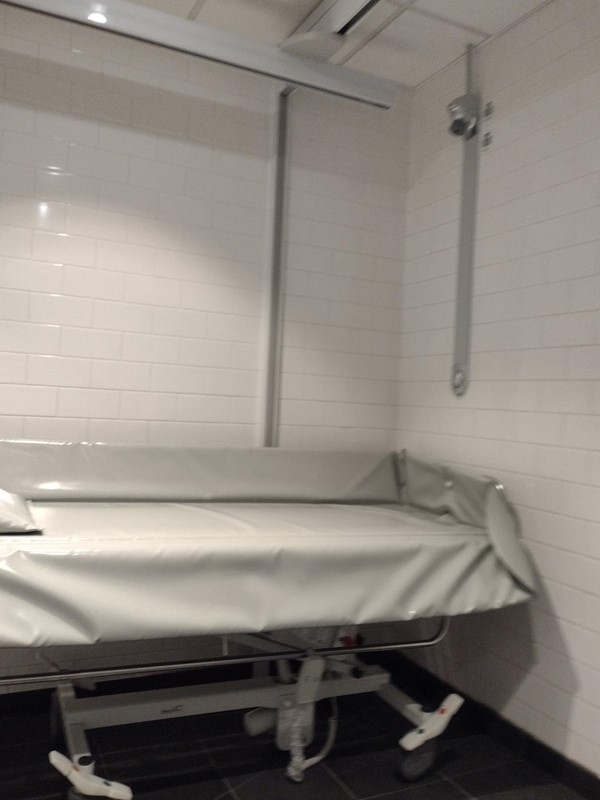 Picture of the hospital bed in the accessible toilet