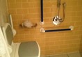 Picture of Hotel Indigo - Wet Room