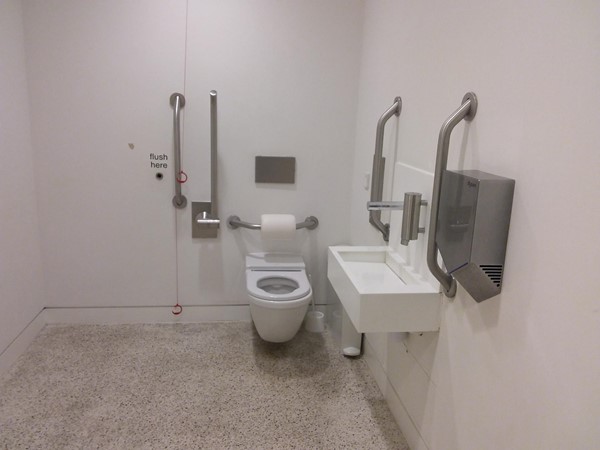 Accessible toilet